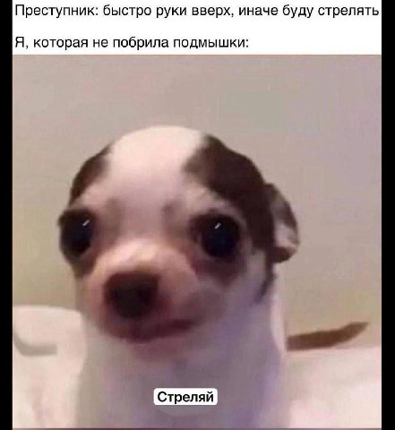 Преступник: быстро руки вверх, иначе буду стрелять Я, которая не побрила подмышки: