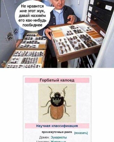 👤 empörung
