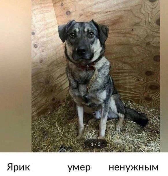 4 Ярик умер ненужным