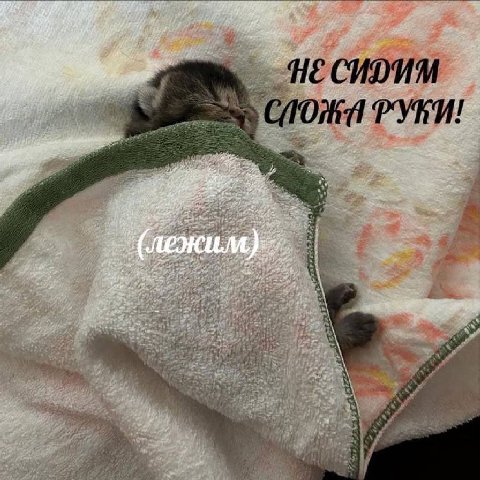 4 к у 1$ ata а 4 я у у 6 7 4 5. 4 tit a 4