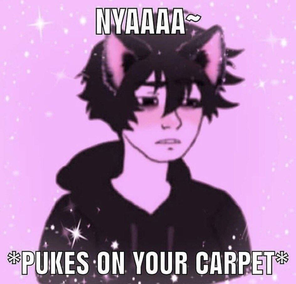 YOUR