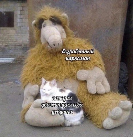 👤 empörung