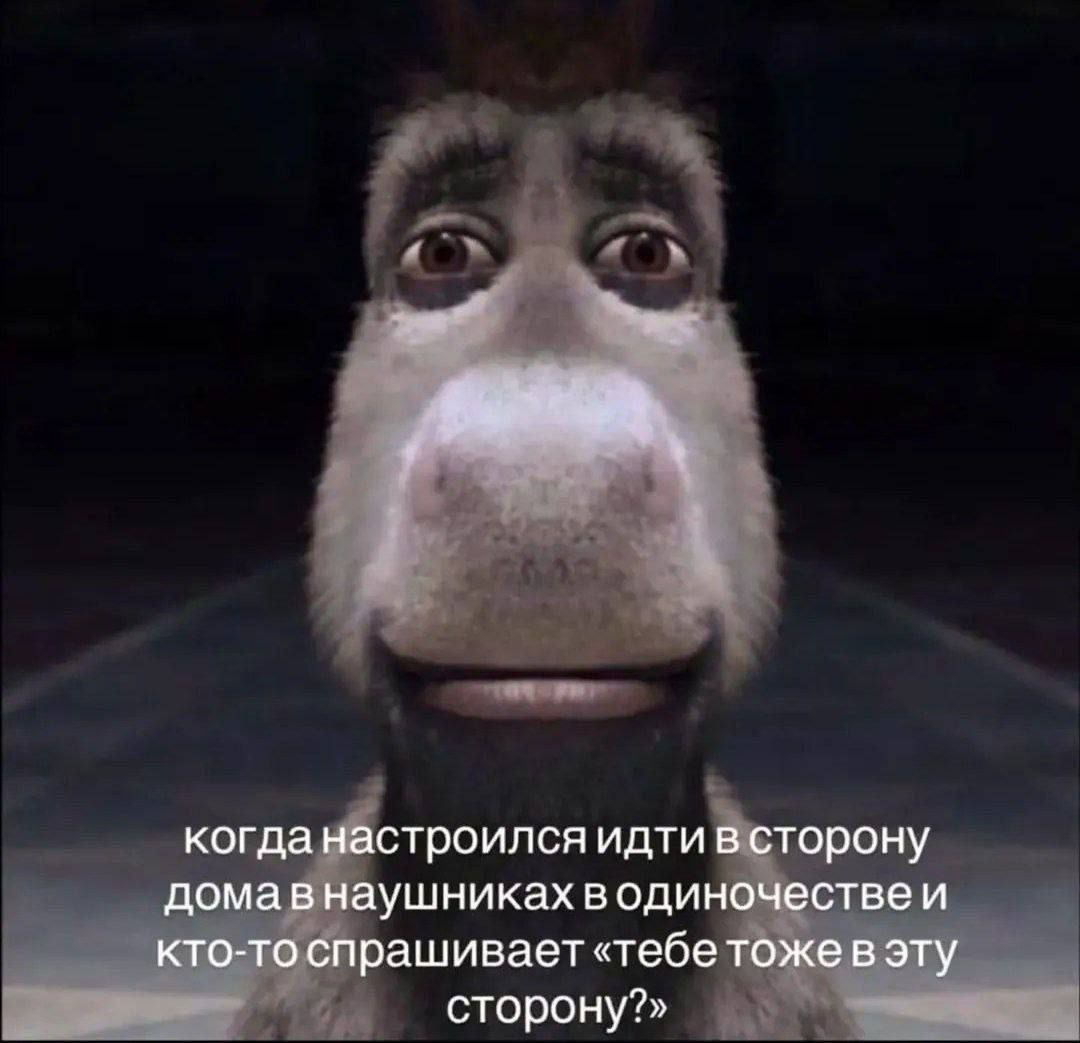 2 когда настроился идти в сторону домавнаушниках водиночествеи кто-то спрашивает «тебе тоже в эту сторону?»
