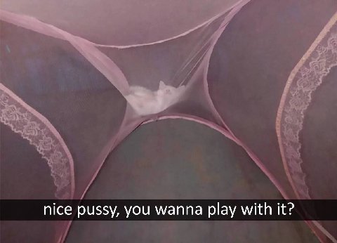 nice pussy, you wanna play with it?