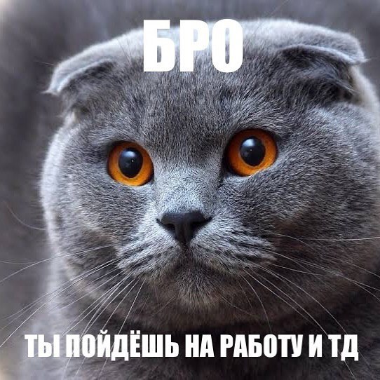 ТЫ НА РАБОТУ И