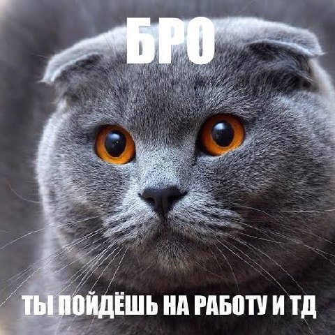 ТЫ НА РАБОТУ И