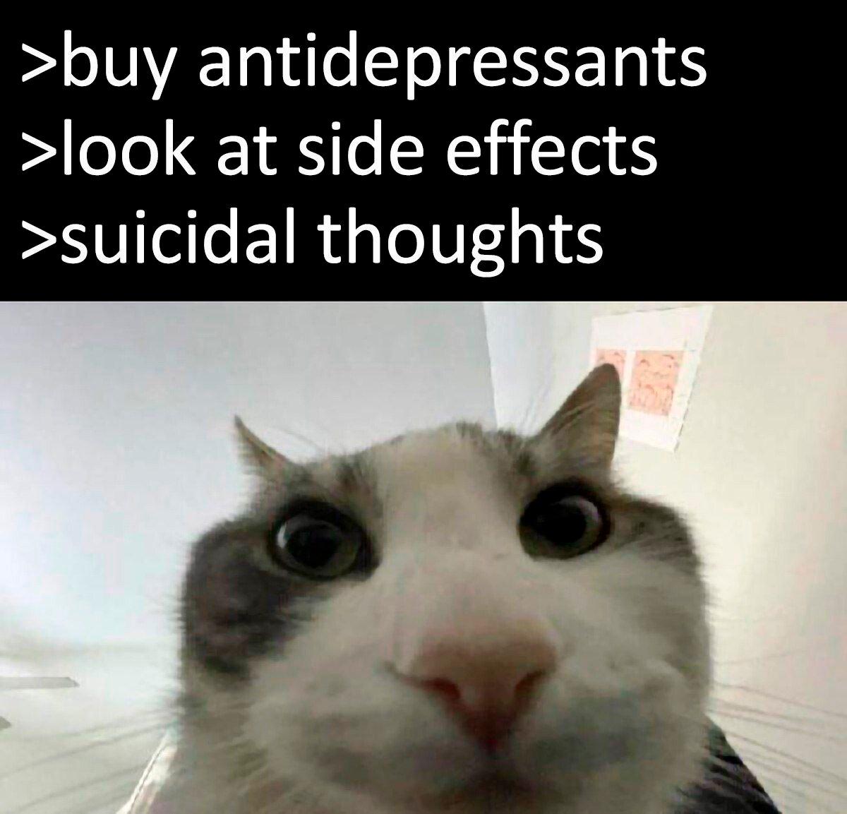 >buy antidepressants >look at side effects >suicidal thoughts