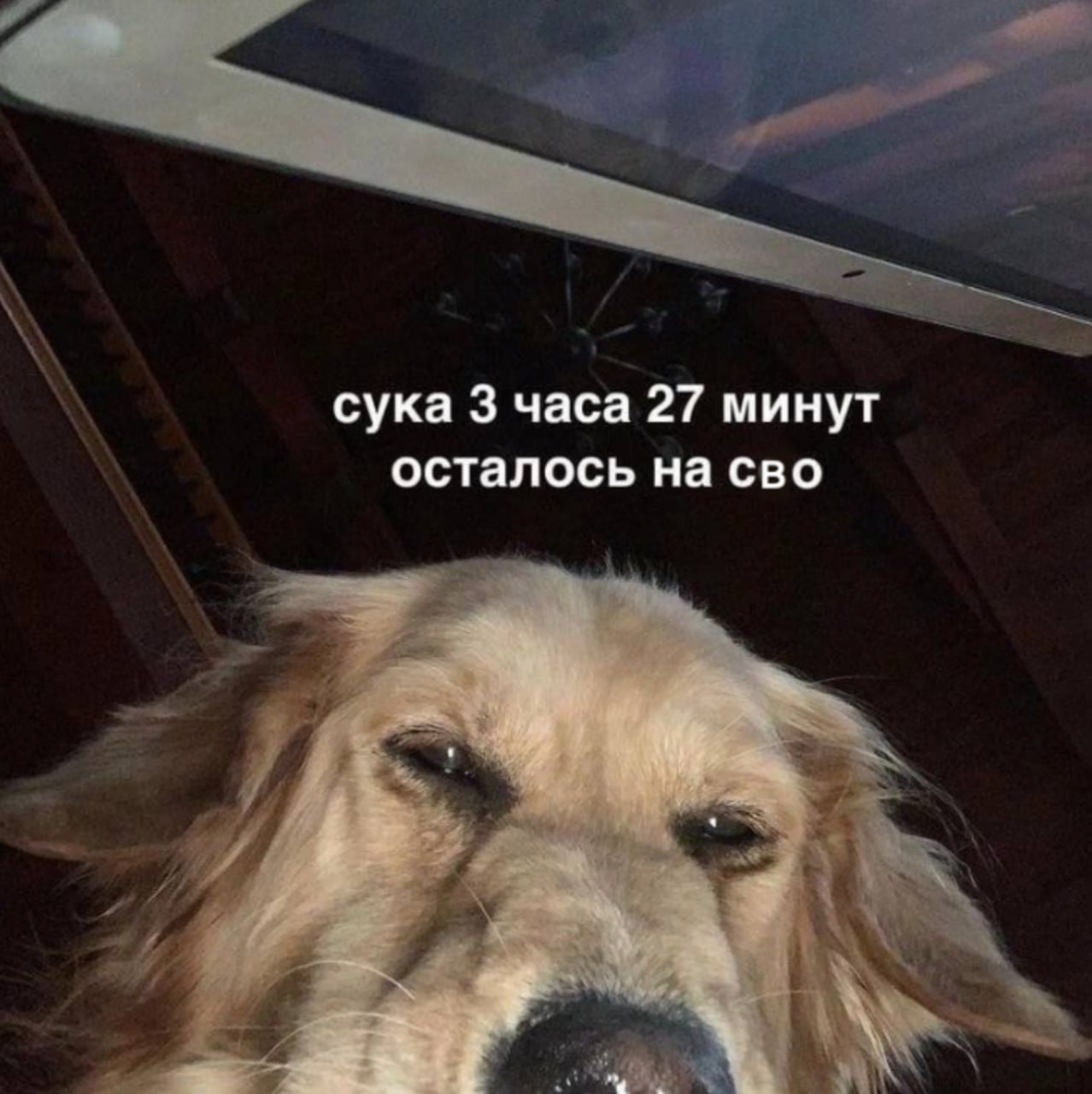 сука 3 часа 27 минут осталось на сво i