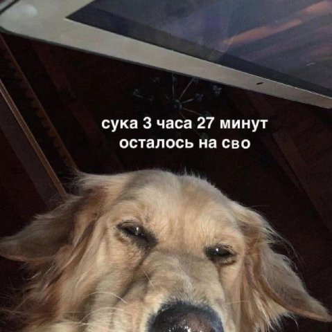 сука 3 часа 27 минут осталось на сво i
