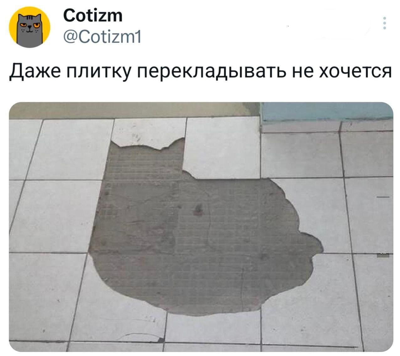 Cotizm @Cotizm1 Даже плитку перекладывать не хочется
