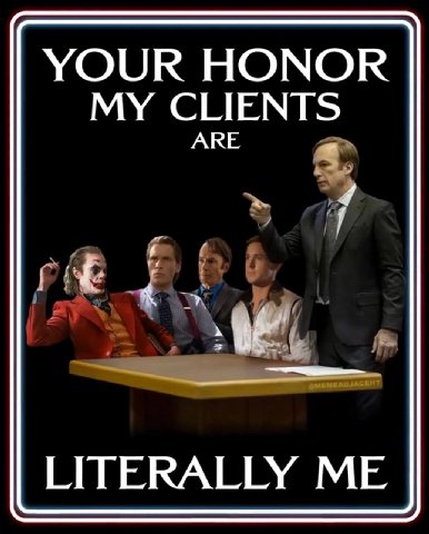 YOUR HONOR MY CLIENTS ARE 7 LITERALLY ME