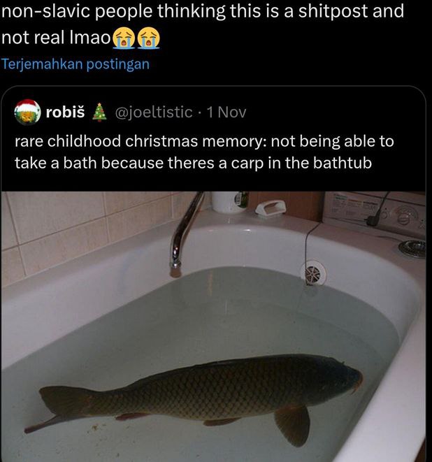 non-slavic people thinking this is а shitpost and not real Terjemahkan postingan A @joeltistic 1 Nov rare childhood christmas memory: not being able to take a bath because theres a carp in the bathtub