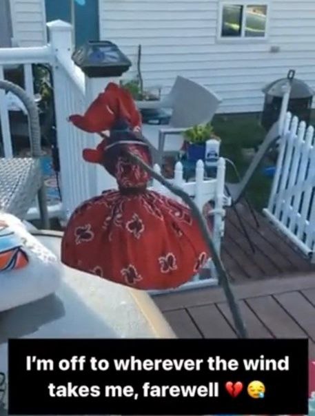 off to wherever the wind takes me, farewell