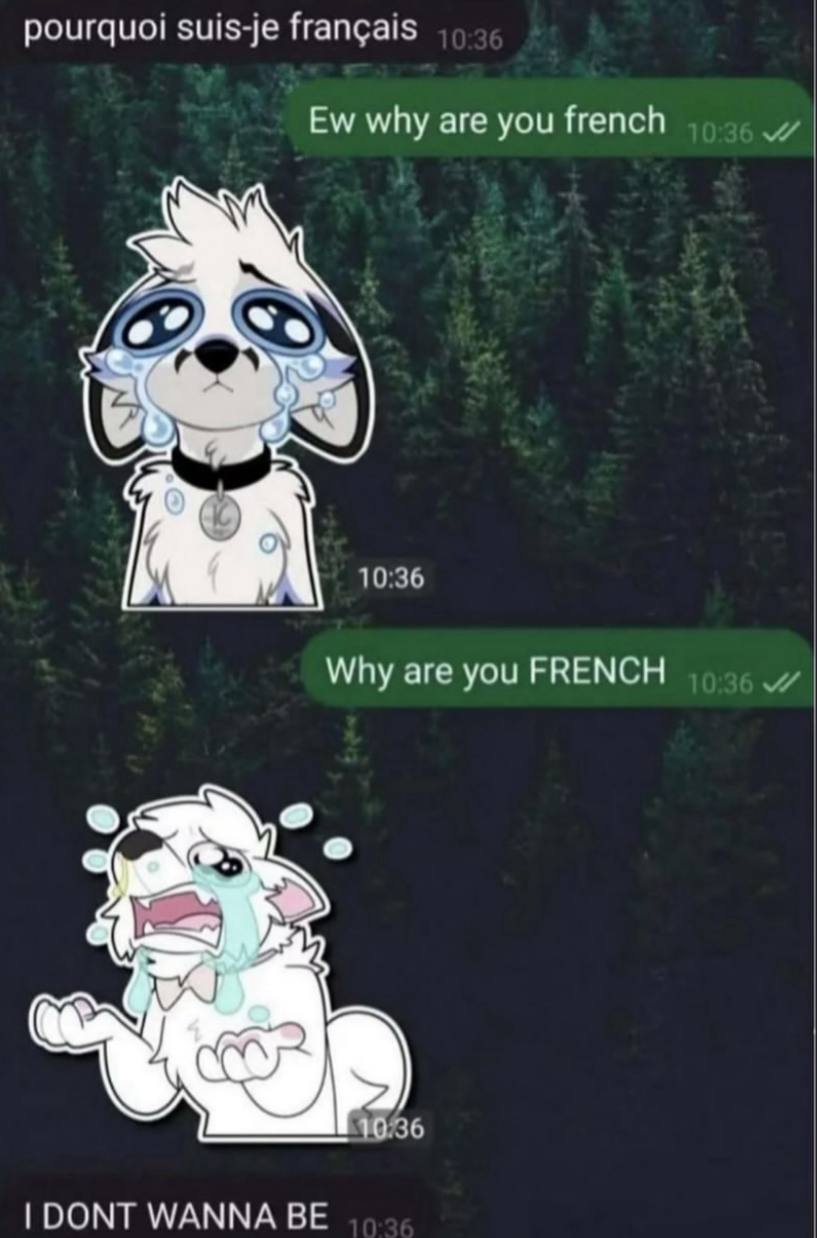 pourquoi suis-je francais why are you french 10:36 Why are you FRENCH 36 DONT WANNA BE