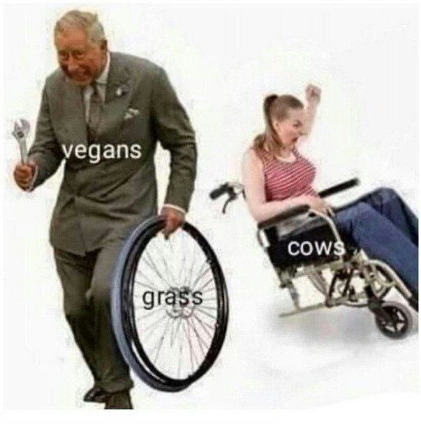 5 COW