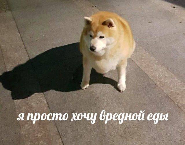 я просто хочу вредной еды