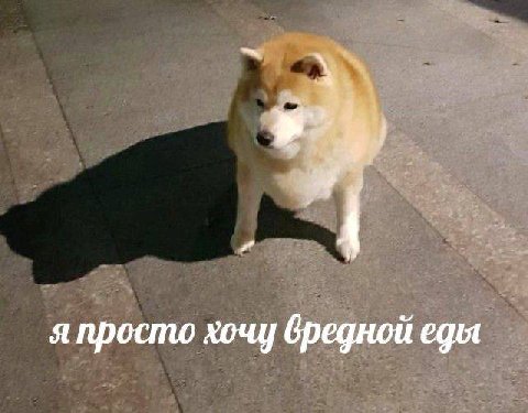 я просто хочу вредной еды