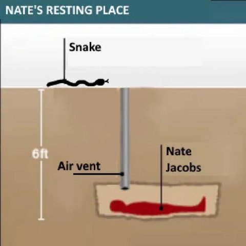 МАТЕ'$ RESTING PLACE Snake