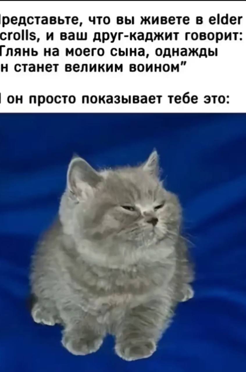 редставьте, что вы живете в elder rolls, и ваш друг-каджит говорит: лянь на моего сына, однажды станет великим воином” он просто показывает тебе это: