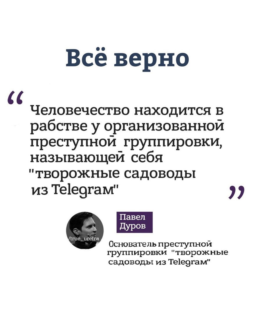 Все верно Человечество находится в рабстве у организованной преступной группировки, называющей себя "творожные садоводы из Telegram" 77 Основатель преступнои группировки "творожные садоводы из Telegra