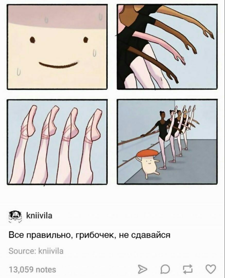 a kniivila Все правильно, грибочек, не сдавайся Source: КпиуНа 13,059 notes