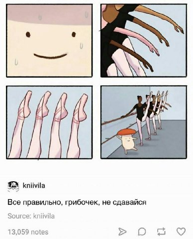 a kniivila Все правильно, грибочек, не сдавайся Source: КпиуНа 13,059 notes