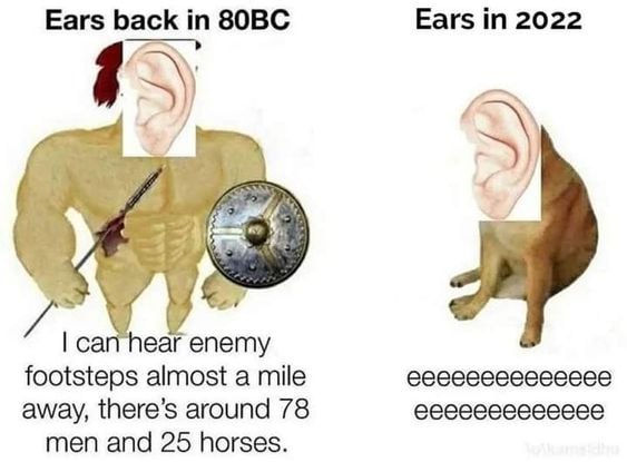Ears back Ears in 2022 can hear enemy footsteps almost a mile away, there’s around 78 men and 25 horses.