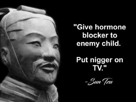 “Give hormone blocker to enemy child. Put nigger on