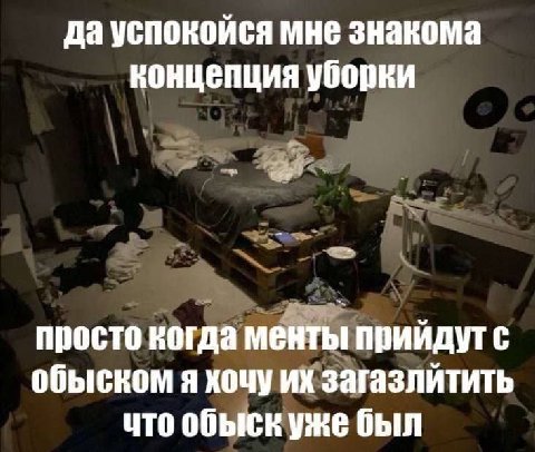да успокойся мне знакома концепция уборки просто когда менты прийдутс обыском я хочу ихзагазлйтить что обыскуже был