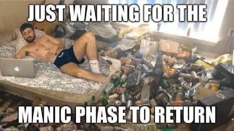 JUST MANIC PHASE TO RETURN