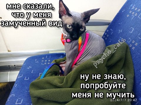 замученный вид |9 ну не знаю, попробуйте меня не мучить,