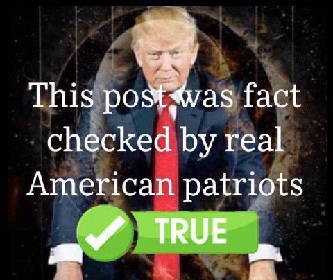 This fact checked real American patriots TRUE
