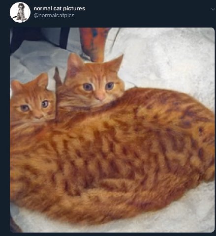 ето могли быть мы но ты не хочешь быть нейро