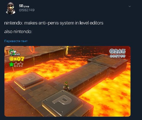 я nintendo: makes anti-penis system in level editors also nintendo: Перевести твит