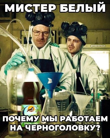 МИСТЕР БЕЛЫИ a 4 ПОЧЕМУ МЫ РАБОТАЕМ НА ЧЕРНОГОЛОВКУ?