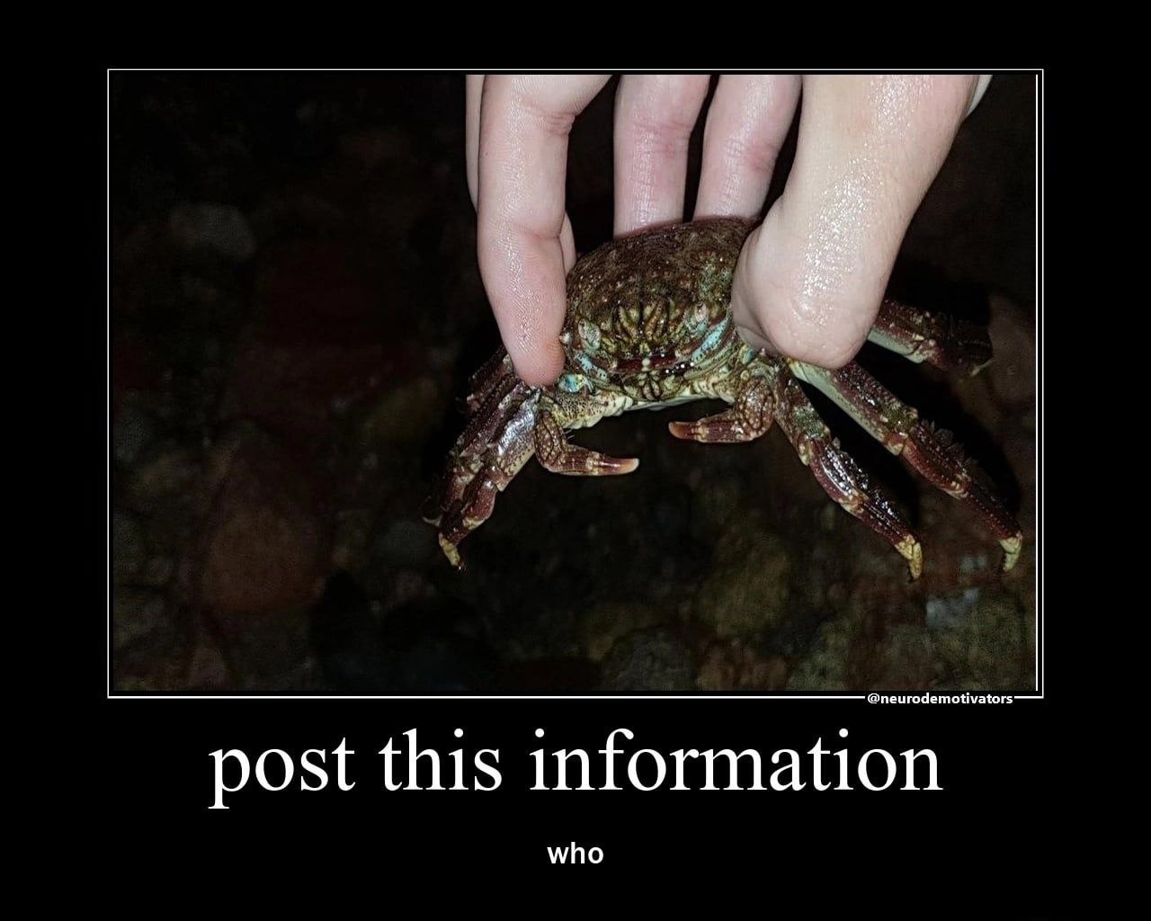 post this information who