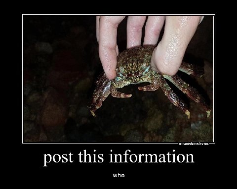 post this information who