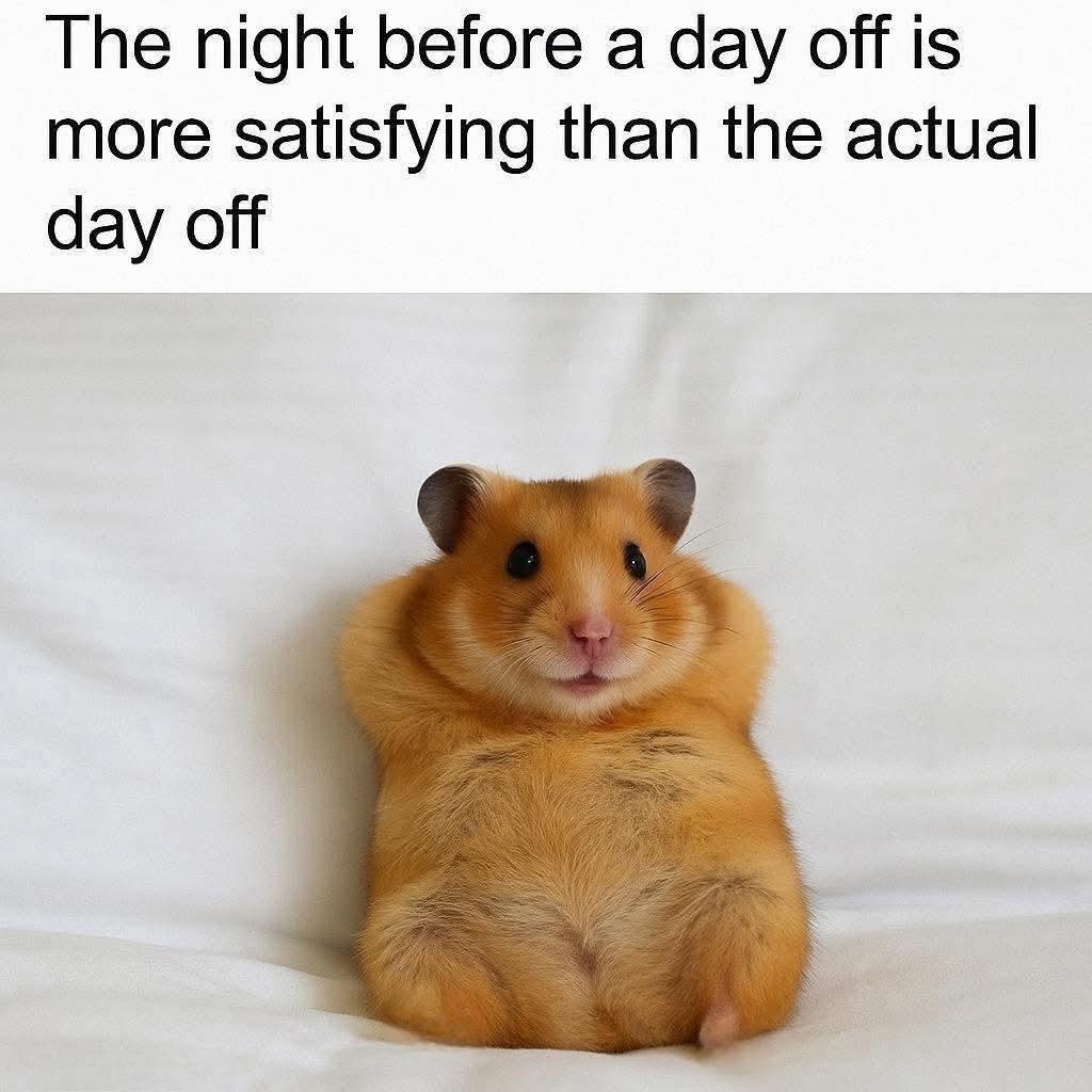 The night before a day off is more satisfying than the actual day off