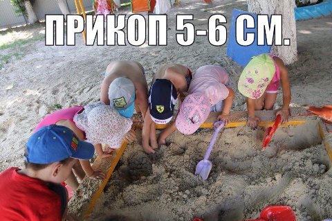 прикоп 5-6 см