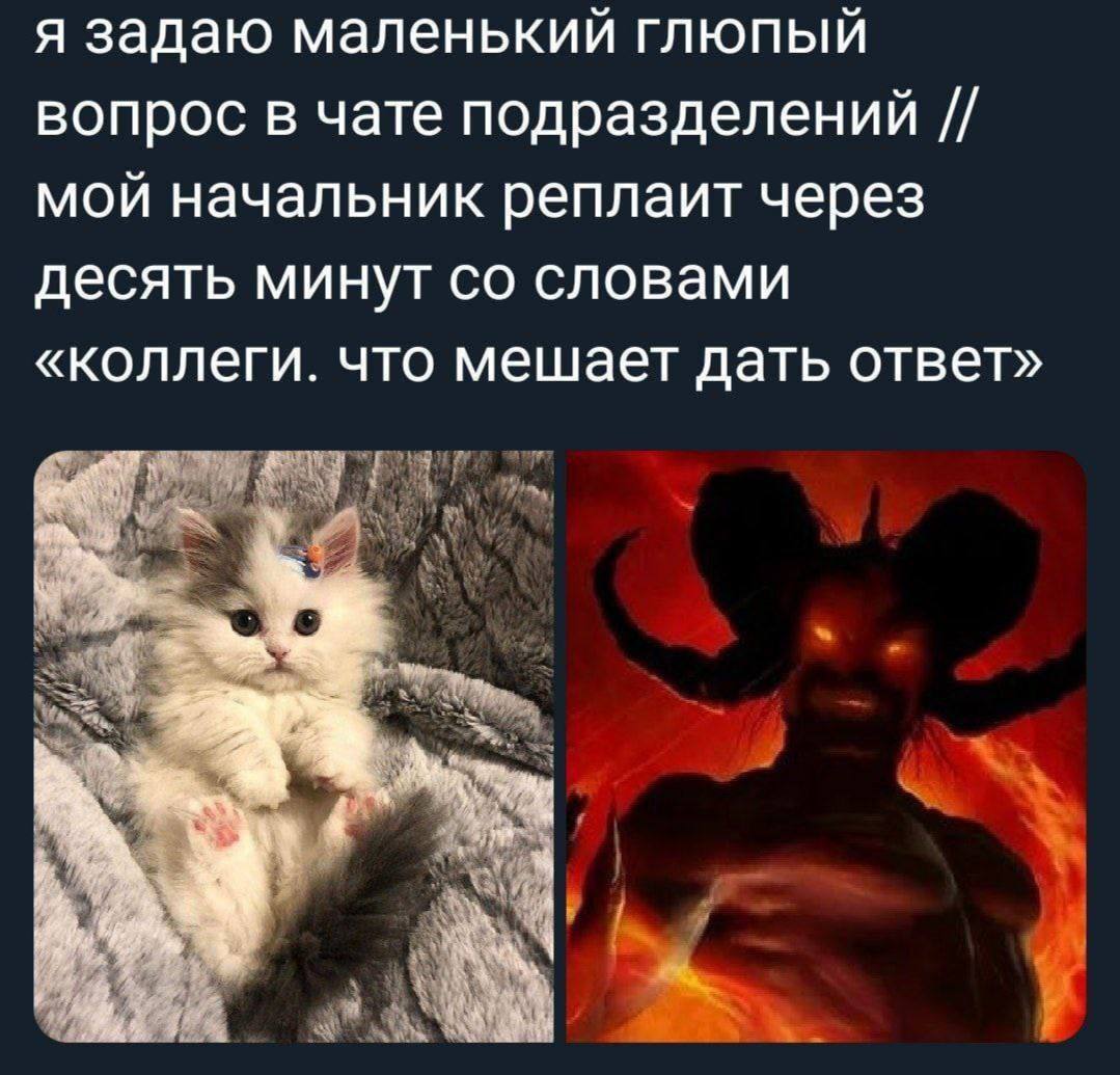 я задаю маленький глюпый вопрос в чате подразделений мой начальник реплаит через десять минут словами «коллеги. что мешает дать ответ»