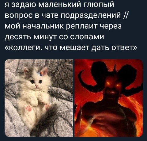 я задаю маленький глюпый вопрос в чате подразделений мой начальник реплаит через десять минут словами «коллеги. что мешает дать ответ»