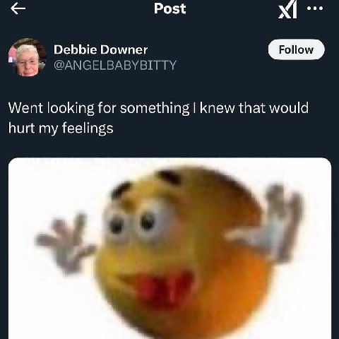 Post Debbie Downer Follow 3 @ANGELBABYBIT Went looking for something knew that would hurt my feelings 2