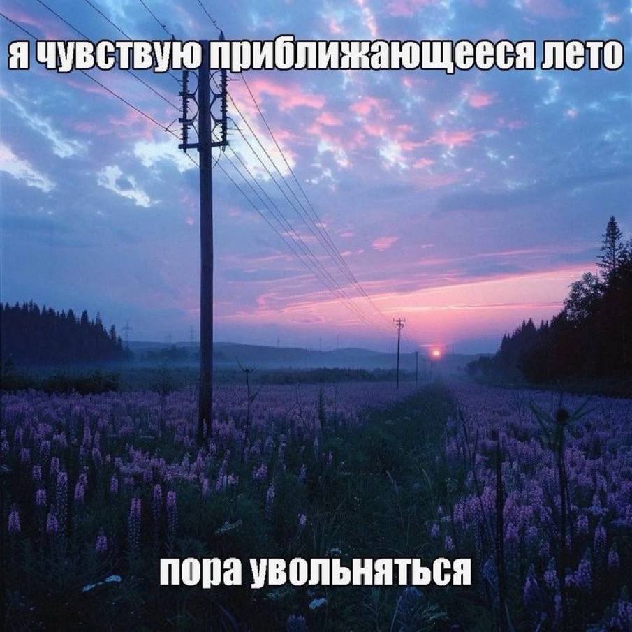 я чувствую приближающееся лето попа увольняться