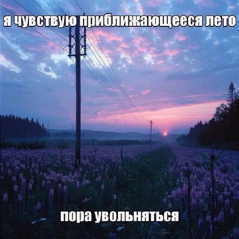 я чувствую приближающееся лето попа увольняться