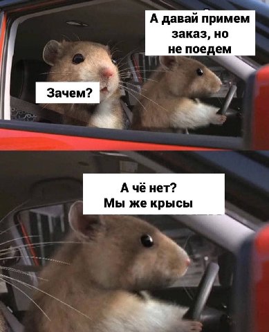 А давай примем заказ, но не поедем А чё нет? Мы же крысы