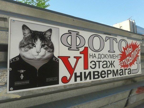ДОКУМЕН