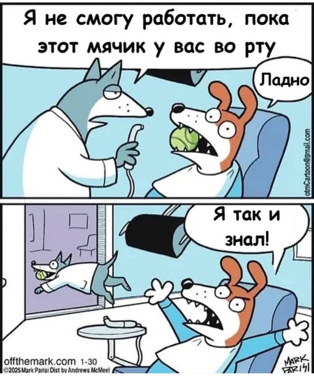 Я не смогу работать, пока этот мячик у вас во рту 2 (GEM) Я 3