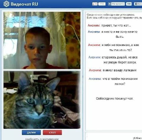 233) Видеочат Соединение с собеседником установпено Еспи ваш собеседник нарушает правила чата, Аноним: привет, ты что кот... Аноним: я никто и не хочу кем-то быть. Аноним: я тебя не понимаю, а как ты 