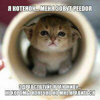 Я КОТЕ EEDOR