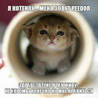 Я КОТЕ EEDOR